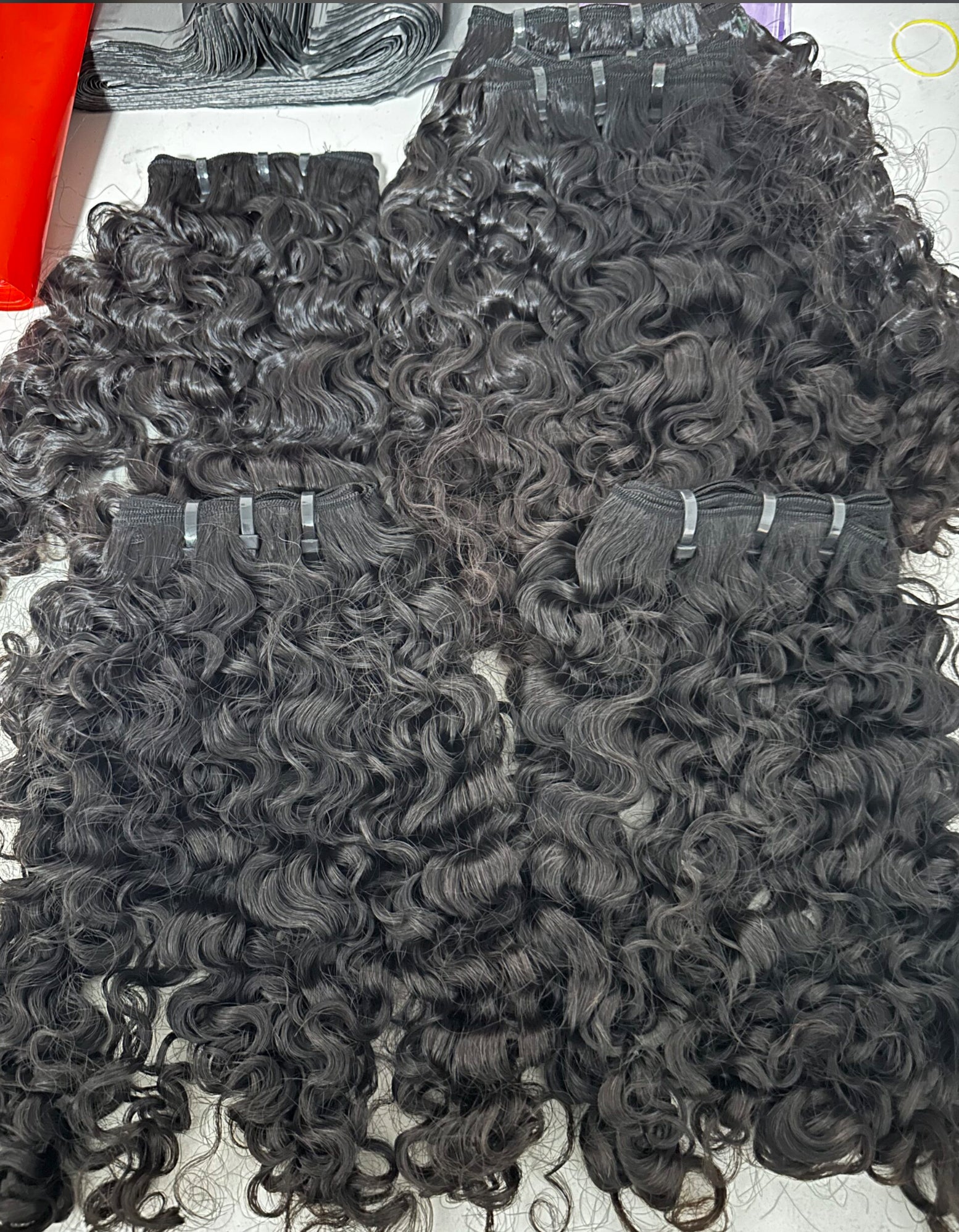 Burmese Curly
