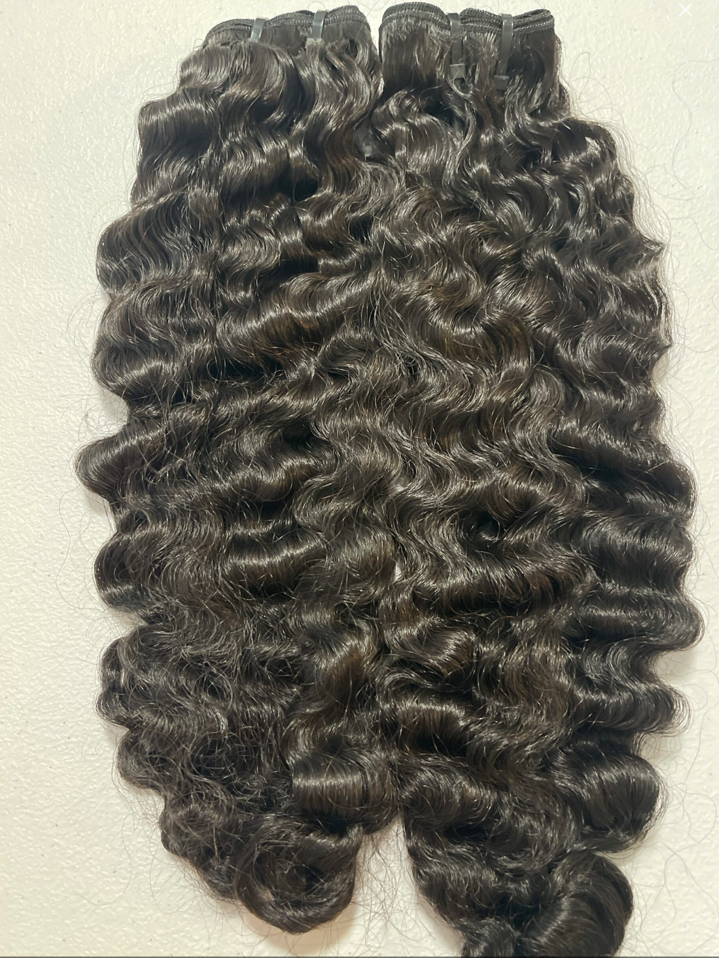 Burmese Bundle Deals